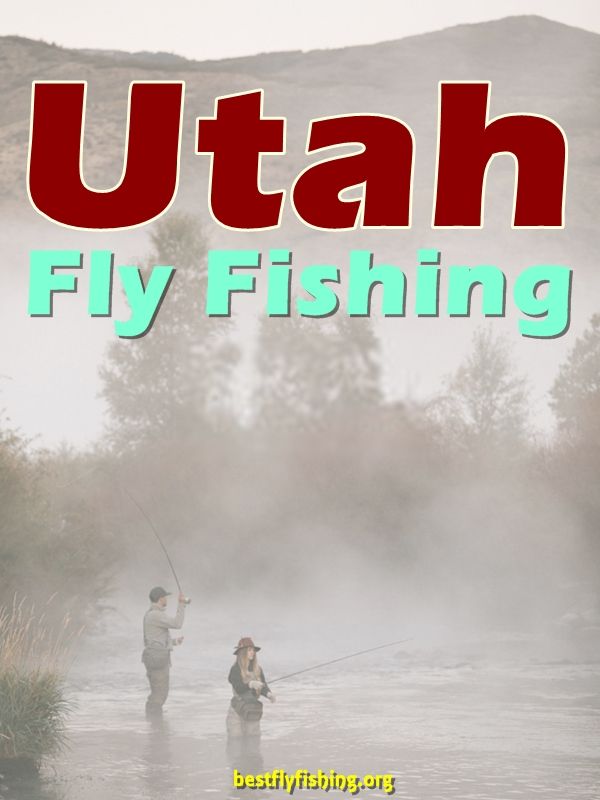 Fly Fishing Utah. Fly fishing in Utah can be an angler’s paradise. #fishing