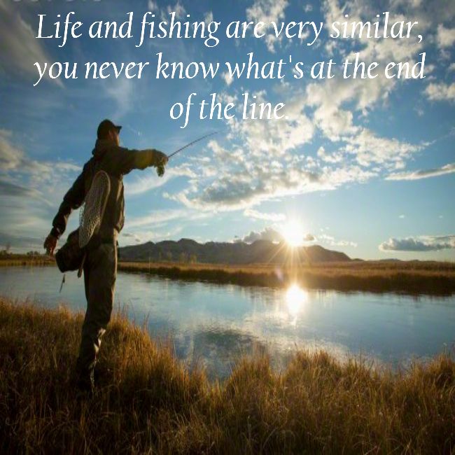 Fishing is a fantastic method to have a great time while unwinding, permitting you to spend time in the outdoors.