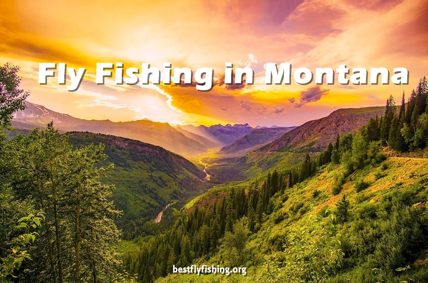 Fly Fishing Montana. Montana controls the majority of its rivers for wild trout; which means hatchery-born fish are not released into these rivers.