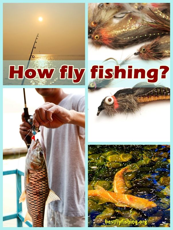 How fly fishing? Methods that you choose to fly fish will often depend upon where you are fishing, the season and even what the weather happens to be like at a particular time of day.