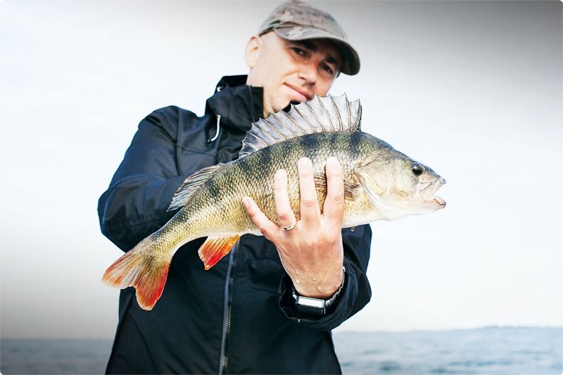 Fishing Tips And Tricks. You'll discover that overcast skies will provide you some of your most prosperous fishing days. A little light rain can even provide you with a fantastic fishing day. If the weather is terrible, then go out and fish!