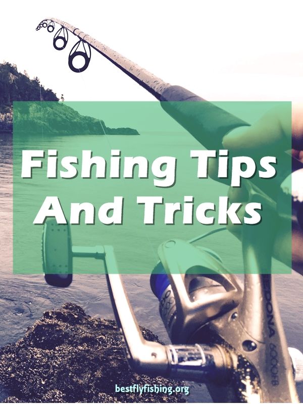 Fishing Tips. Can you think back to the excitement of catching your first fish? Maybe it was on a trip with your father or grandfather, or perhaps with your buddies at the cabin